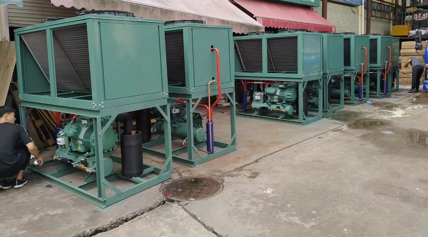 Big Project V Type Condensing Unit Walk In Ultra Low Blast Freezing Unit For Oversea Fish And Seafood