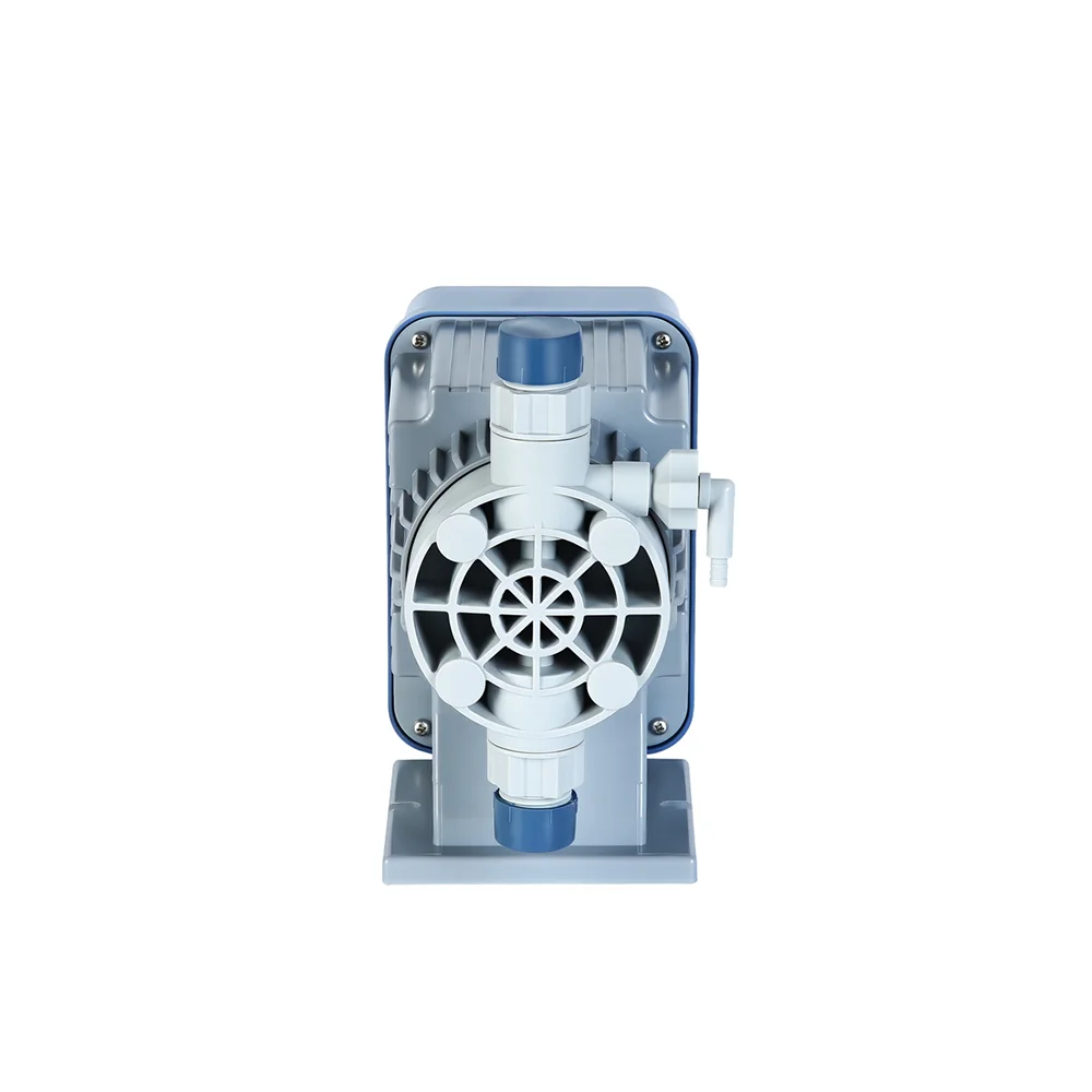 Factory Direct Supply Chlorine Dosing Pump For Industrial Utilities