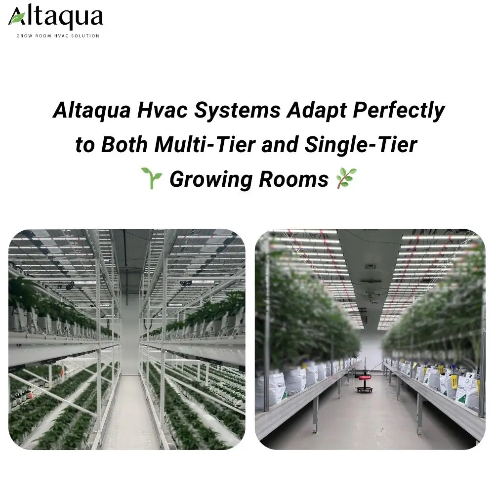 2 Tier Grow Rack Light Lift For Cultivation Facility Indoor Farming Greenhouse