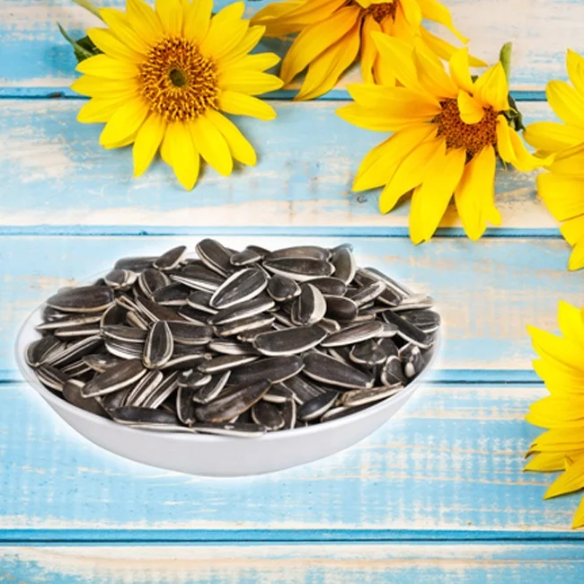 Sun flower Seeds New Crop Wholesale Chinese sun flower seeds 363 sun seeds sunflower (1600438032293)
