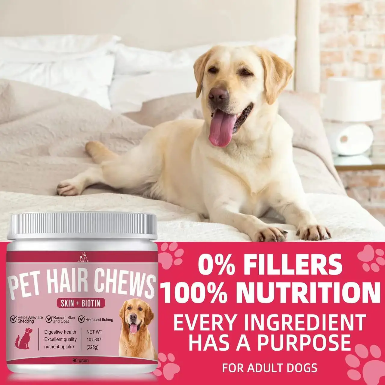 OEM&ODM Custom Private Label Pet Food Omega 3 Soft Chew Supplement for Skin Coat Hair Growth Wholesale Biotin for Dogs