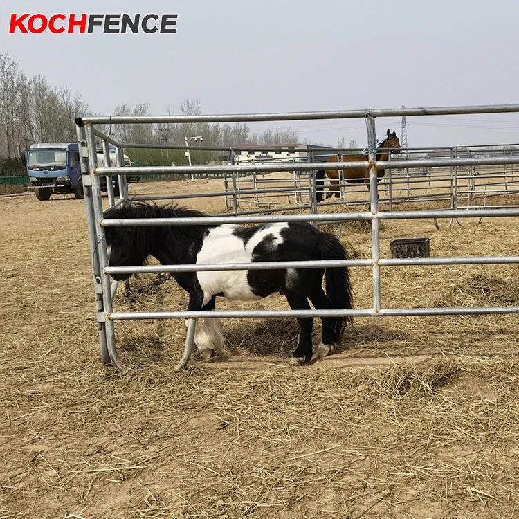 Hot Sale Portable Horse Cattle Yard Panel Fences 1.8m highx6 bars or 1.6m highx5 bars for Australia/New Zealand