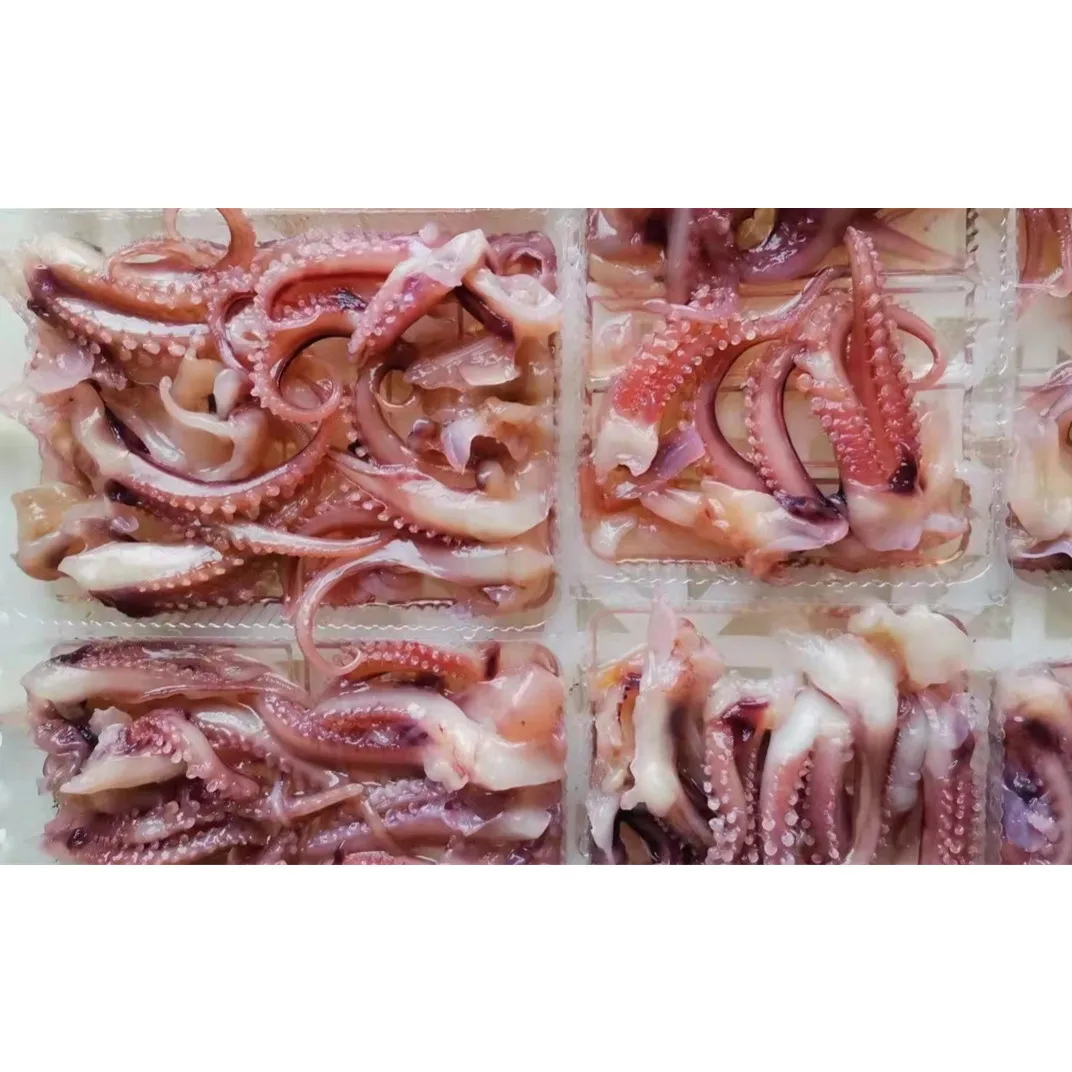 fresh good sale Indian ocean squid meat frozen squid tentacle