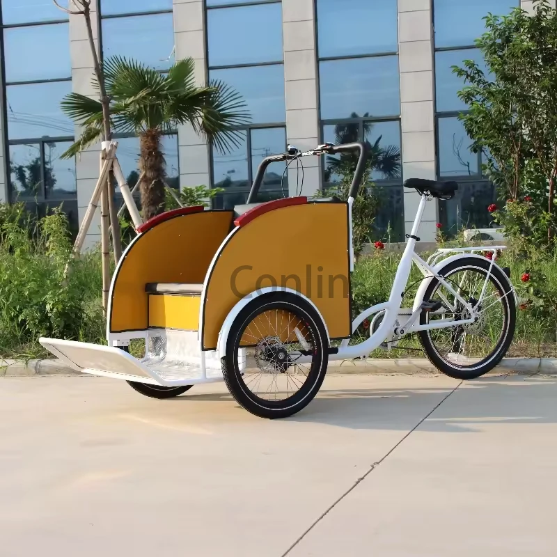 Hot Selling Adult Tricycle Passenger 2 Passenger Tricycle Electric Rickshaw Pedicabs From China