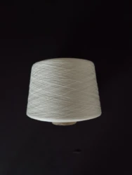 Manufacturer wholesale siro spun 100% viscose yarn undyed viscose yarn sr 10s/1