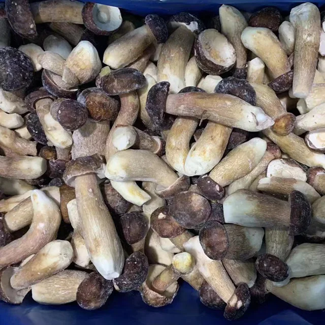 
FROZEN BOLETUS EDULIS WILD 