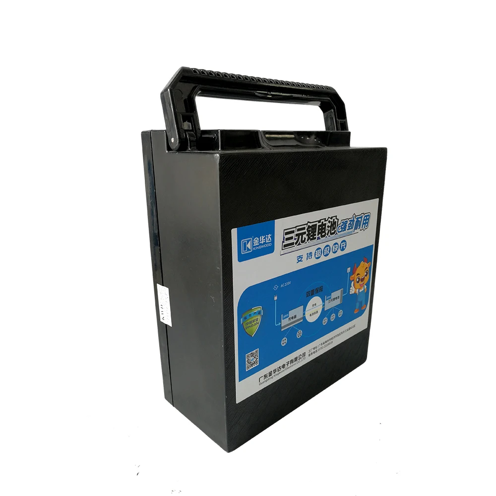 
Customizable 36V 48V 10ah E-Bike Portable Auxiliary Battery 