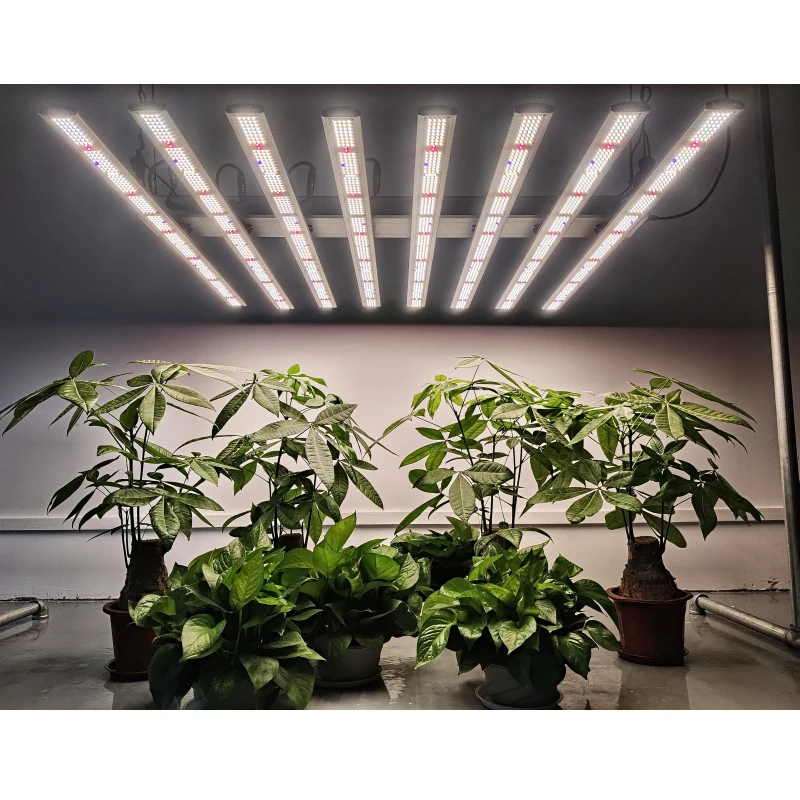 Высокая PPFD U V ИК комнатных растений Вег и цветок 800w 1000 Вт парниковых Регулируемый Spectrum Led Grow