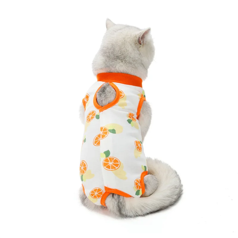 cat recovery suit (6).jpg