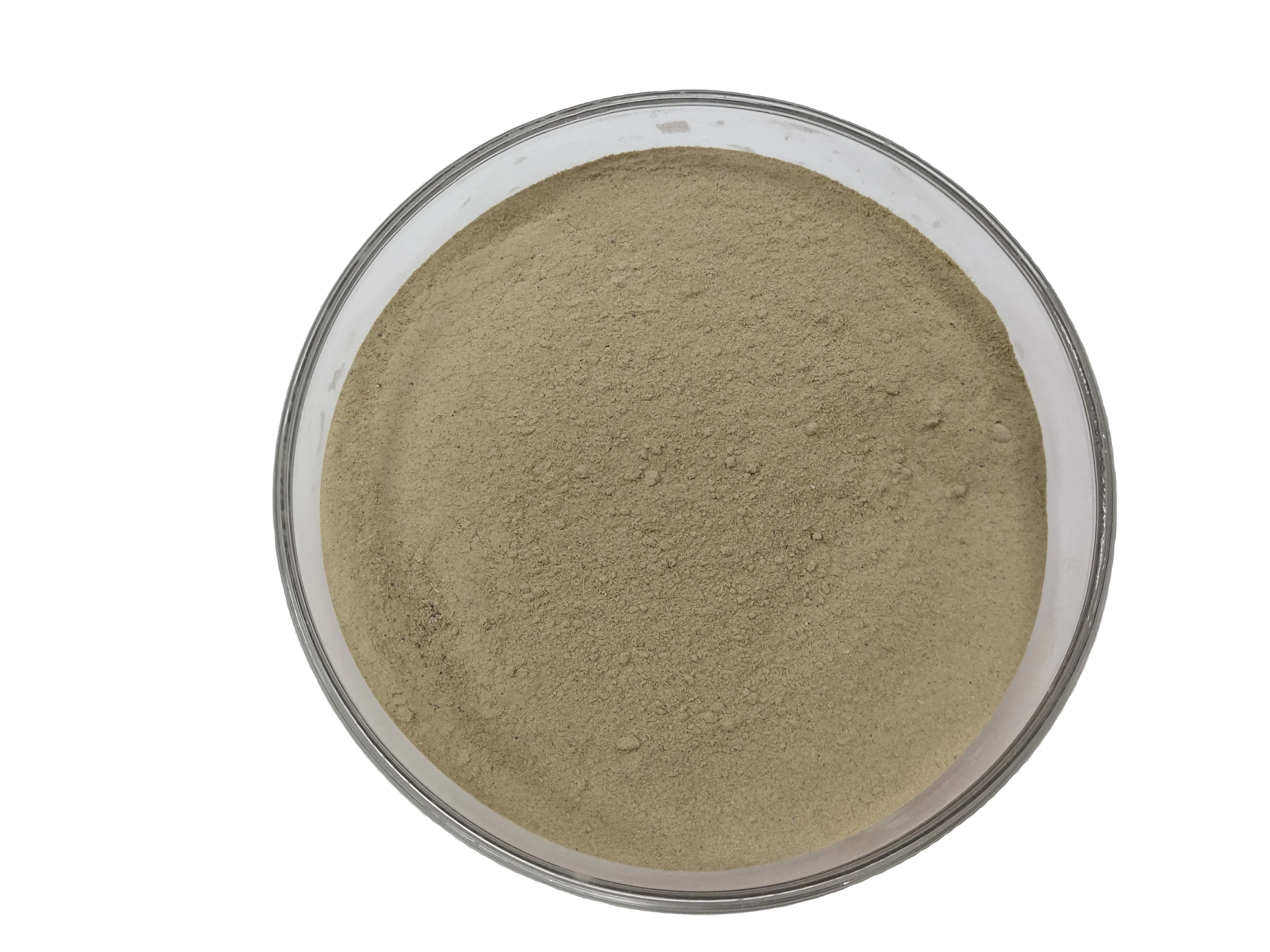 Заводская распродажа различные новые виды порошок Lactobacillus Plantarum