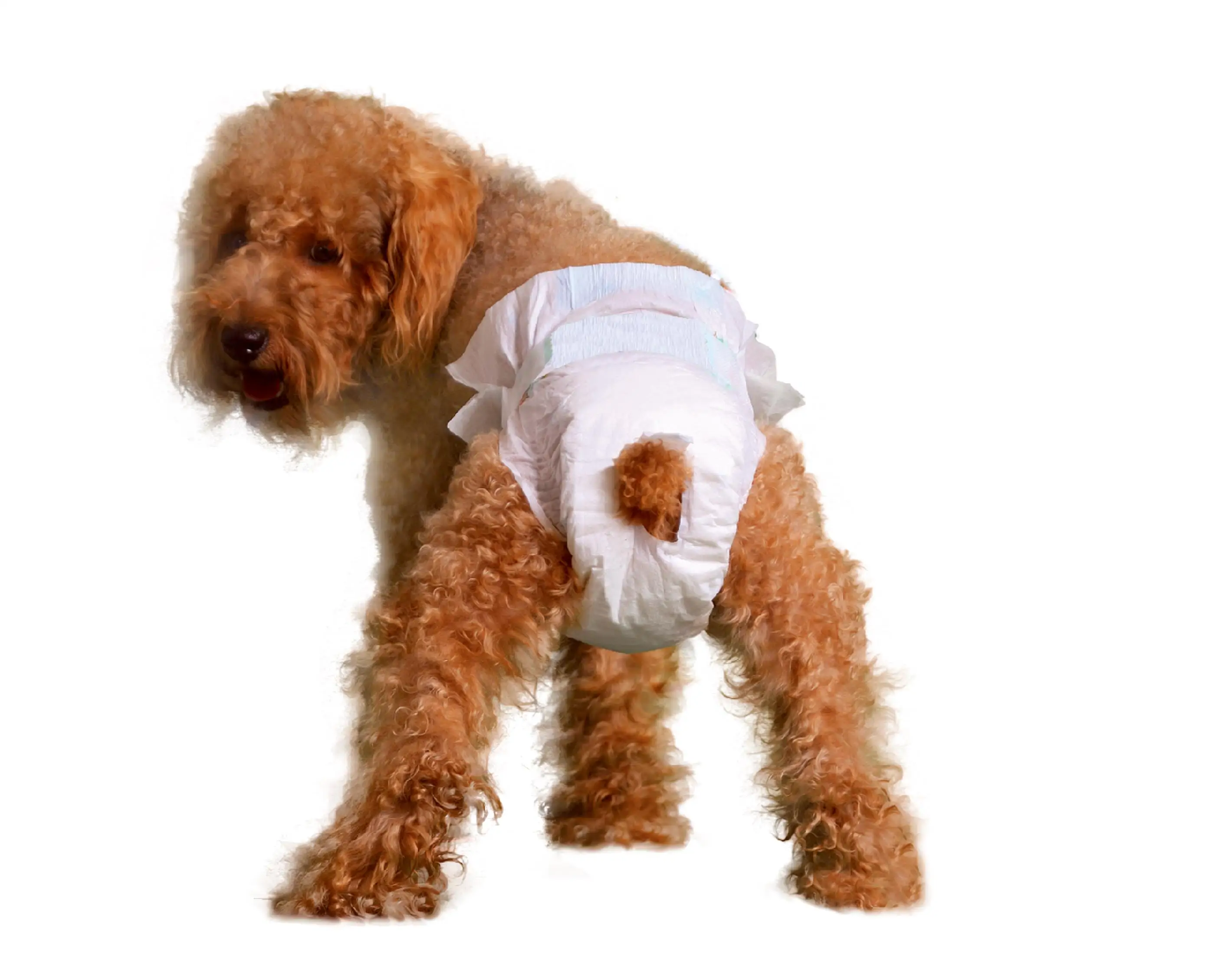 
Pet Diapers Disposable Dry Sanitary Leak Proof Dog Diaper Pad Wet Indicator male wraps 