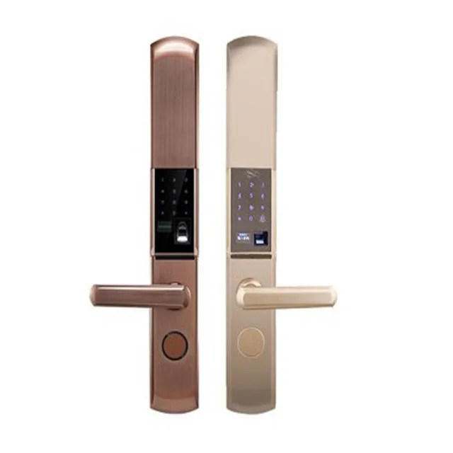 2023 New Electronic Cheap Biometric Home Fingerprint Door Lock Keyless Mould