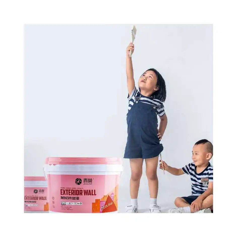 Professional Anti-rust Latex Water-proof Emulsion Water Based Paint
