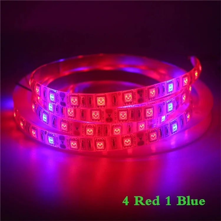 Factory Custom LED Flower Phyto Lamp Full Spectrum 5050 60leds/m Red Blue Plant Growth Strip Light With EU US Power Adapter