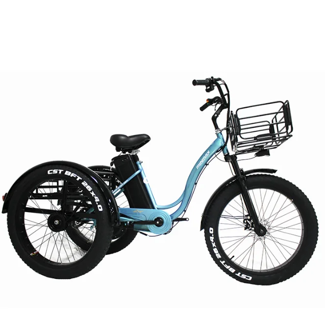 20 Inch Fat Tire Pedal Power Electric Tricycle Rough Tire Snow Lithium Battery Three-wheeled Bicycle