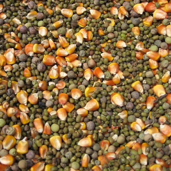 Оборудование для сушки пищевых продуктов для собак, корма для рыбы, сушилка для пищевых продуктов