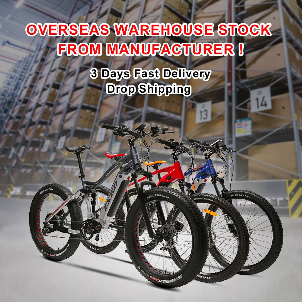 TEXD eu warehouse electric bike full suspension fat tire bike electric tandem bicycle for couples