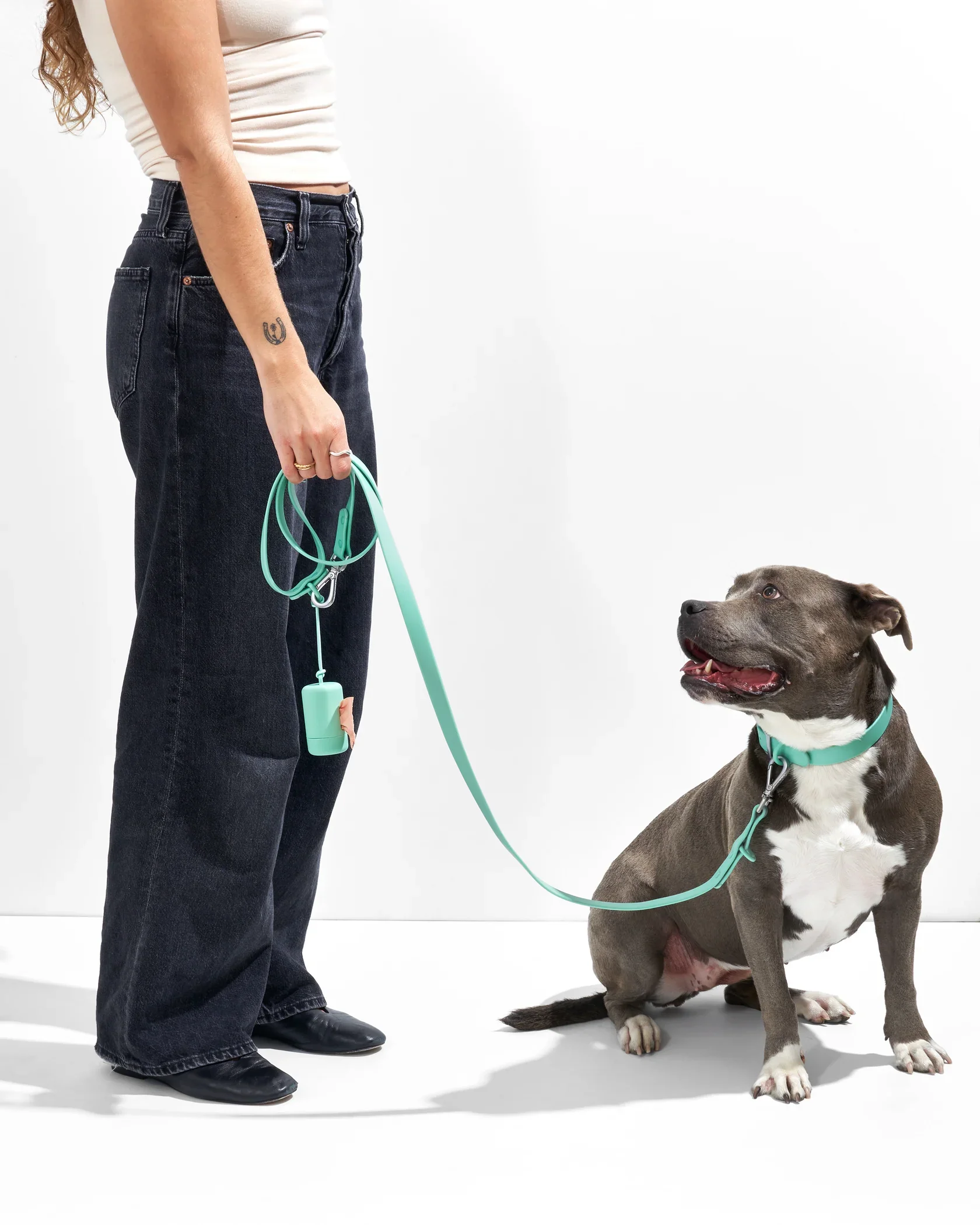 Custom Luxury Waterproof PVC Neoprene Pet Poop Bag Dispenser Dog Harness Set Leash Collar Set For Dog