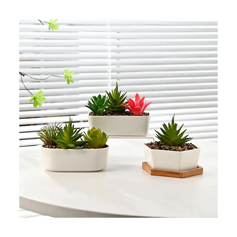 Ceramic flowerpot New white creative succulent flower bamboo tray potted plant roman style flower pot