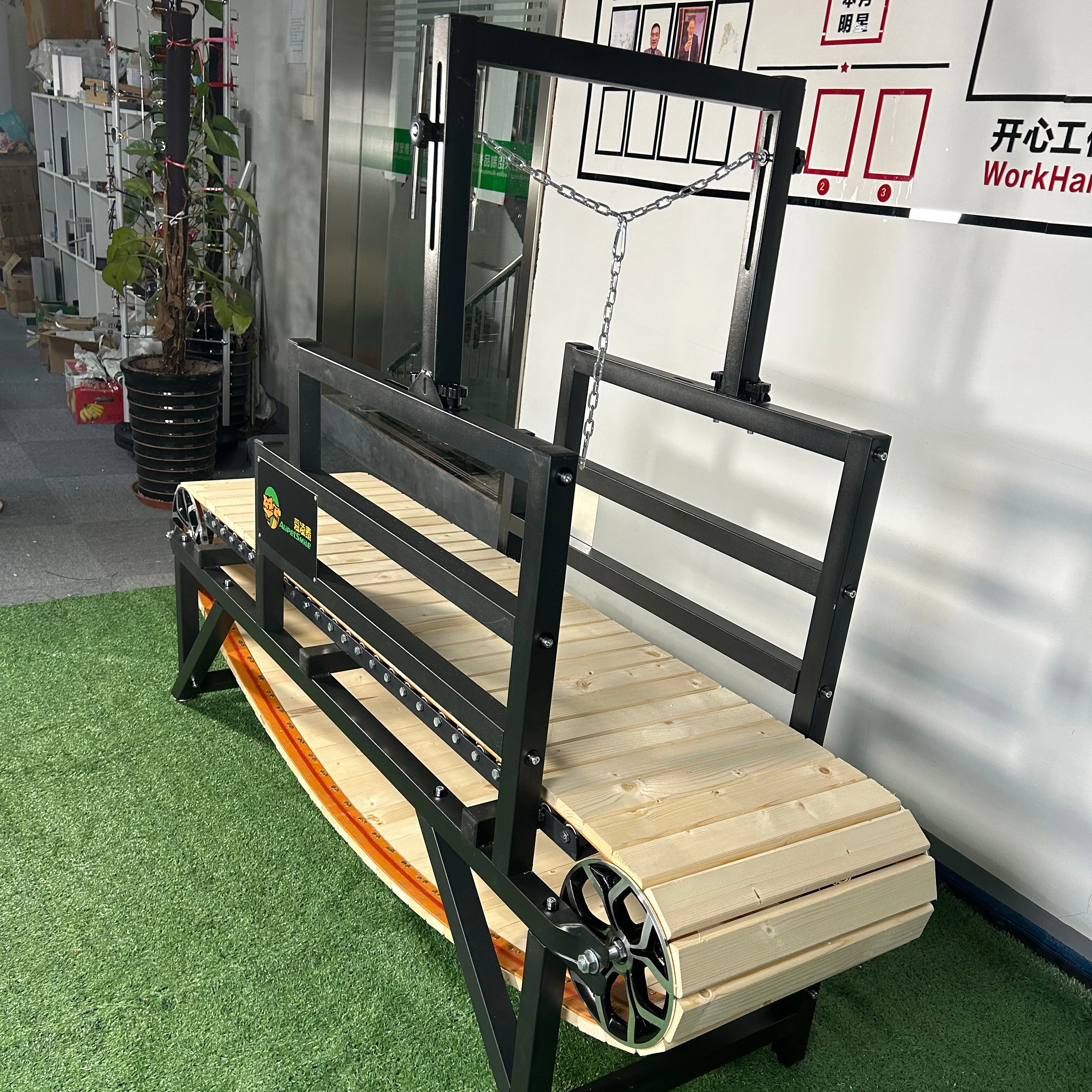 Alipetsmile new style dog treadmill  medium dog slatmill for big dog walking inside