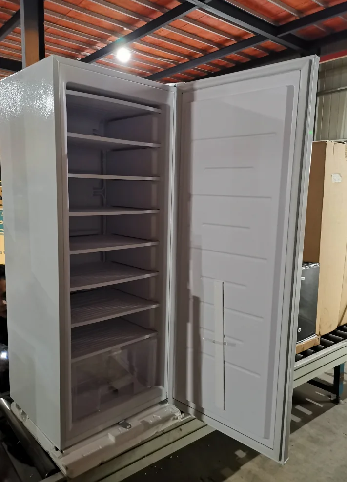 Compact Efficiency PV-compatible upright  freezer 24V 198L 8/11layers Ice Block Maker for Chad  Areas