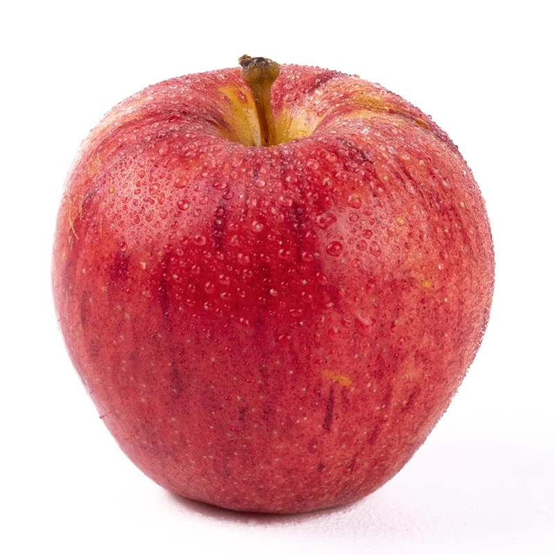 fresh Fuji apples wholesale fruit prices