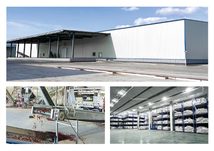 Wholesale Red Chili Crushedred pepper Flake Quality dry red chilli Dried Food Baked 5000-20000SHU