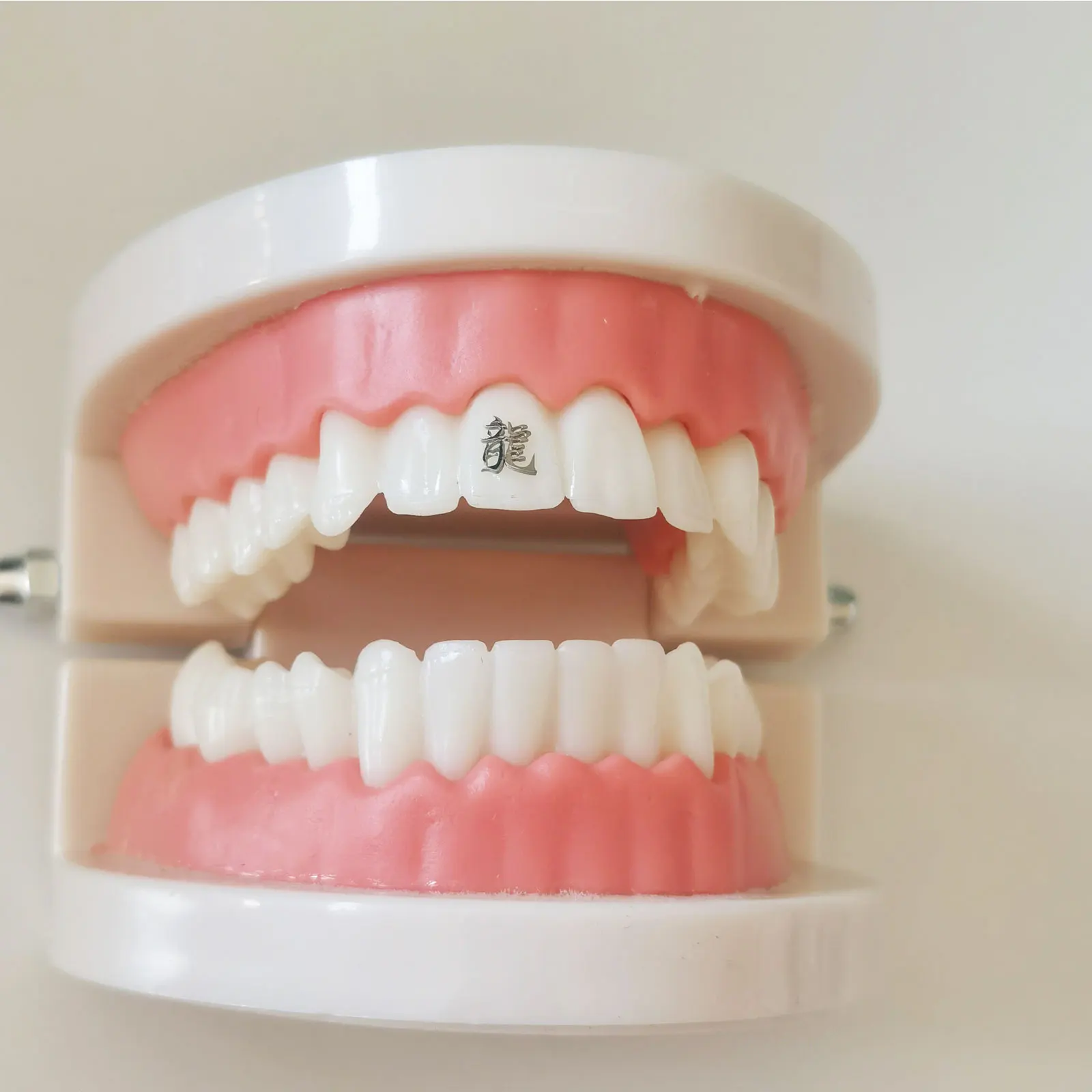 Hot selling 4 PCs  Medical pure titanium Tooth gems five leaf slover  teeth jewelry Best selling Teeth gems