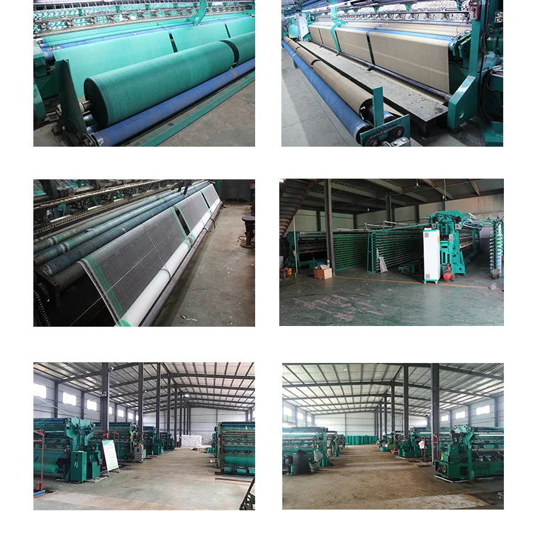 Factory 80 Gsm 3mx50m PE UV Green Color Mono Shade Net for Agriculture and Agro
