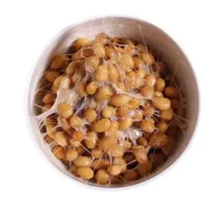 Organic Natto Extract Nattokinase Powder Nattokinase extract