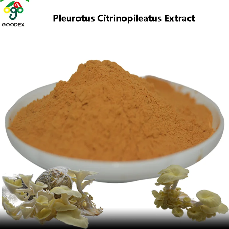 New Product High Quality Pleurotus Citrinopileatus Extract  Health and Food