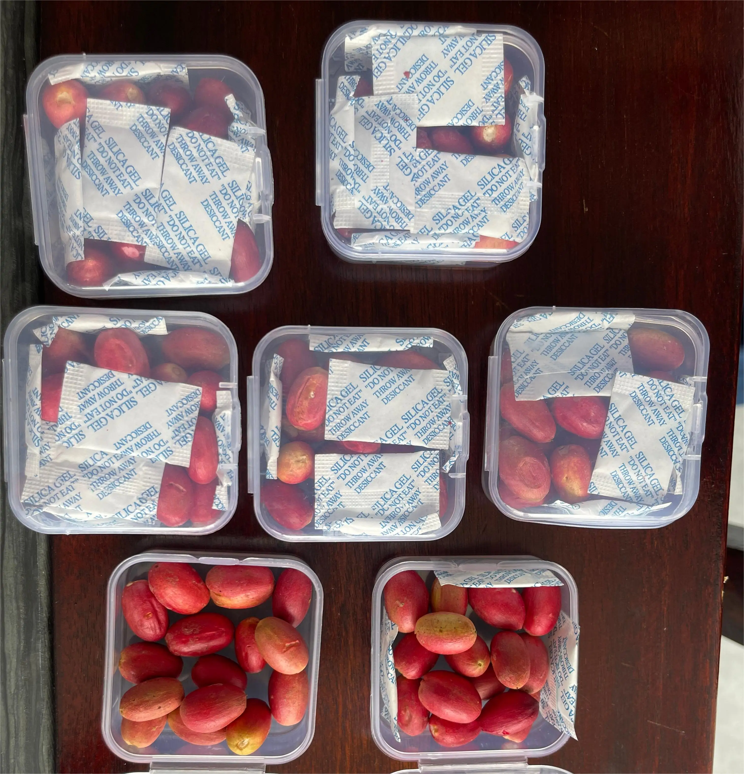 Factory  supply miracle berry extract  powder miracle fruit tablets  freeze-dried miracle fruit