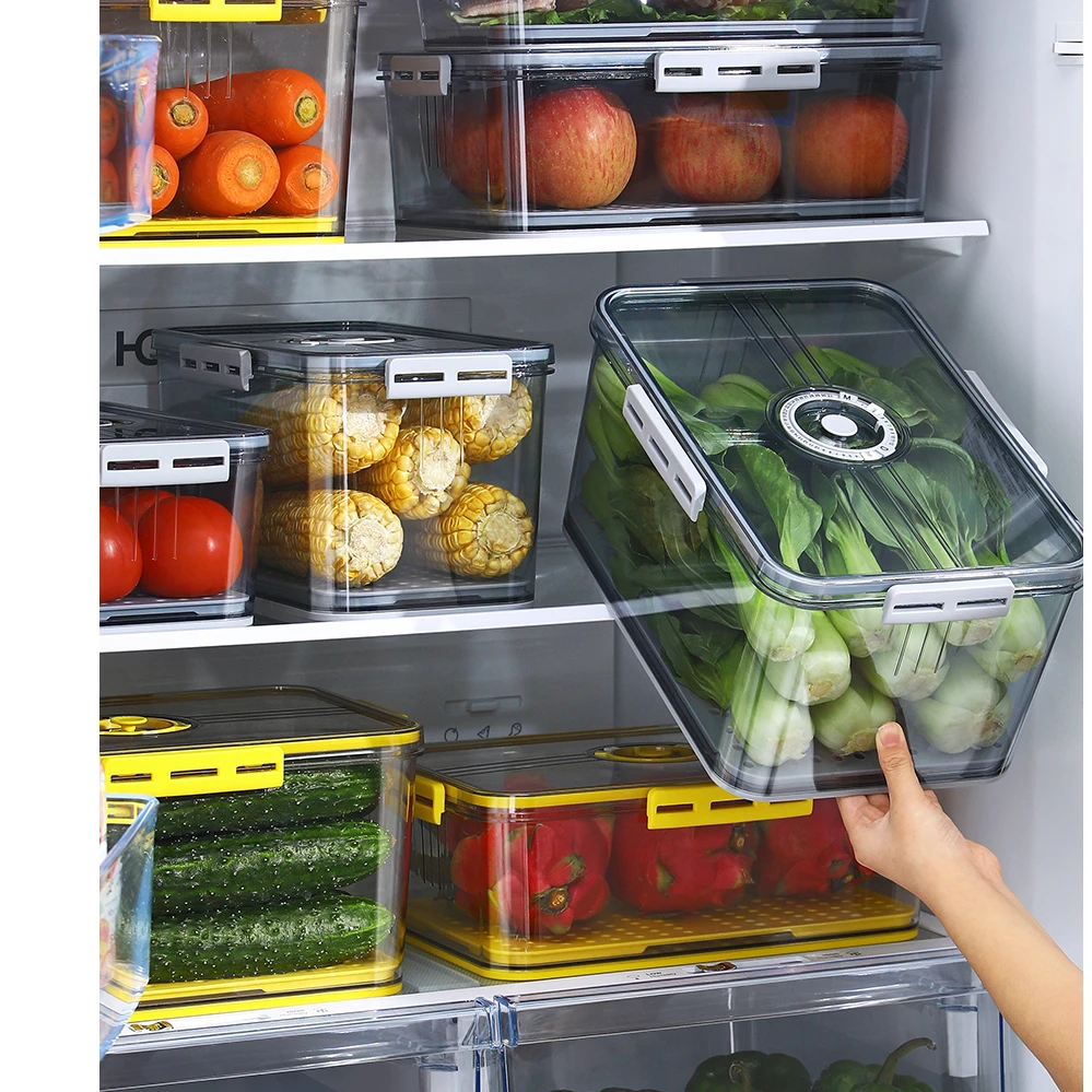 Kitchen Pet Food Fruits And Vegetable Storage Bin Freezer Ref Fridge Storage Container Boxes With Lids