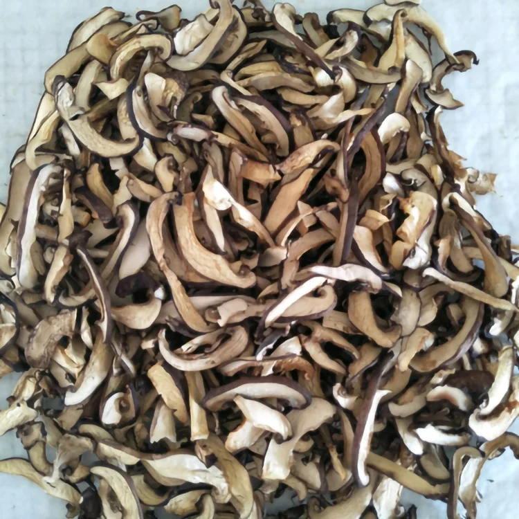 powder mushroom