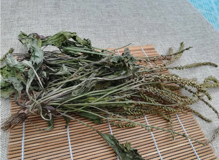 Banana, pineapple, sarcandra glabra drying machine herbs dryer