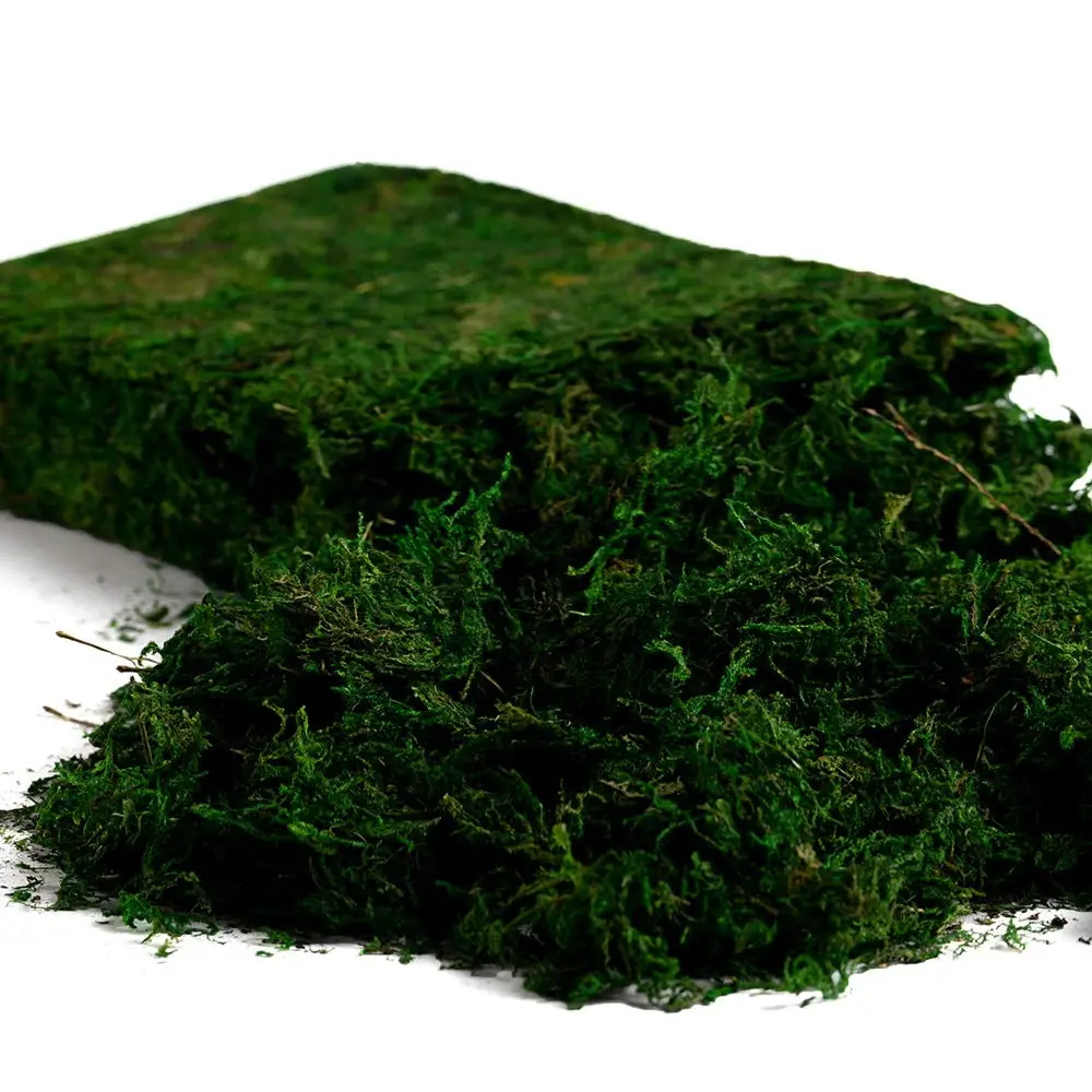 Moss Green Preserved Artificial Moss Artificial Moss for Plant, Fairy Garden Lawn Crafts Wedding Decor