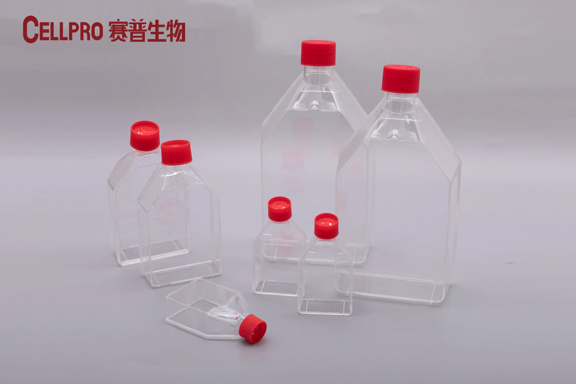 Chinese Factory Plastic Lab Use Surface Adherent Tissue Cell Culture Flask