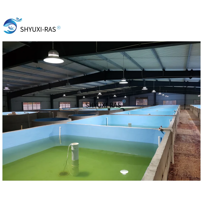Оборудование для рыбоводства для помещений ras, для продажи, большая промышленная рециркуляция рыбы, Ферма для аквакультуры, система ras