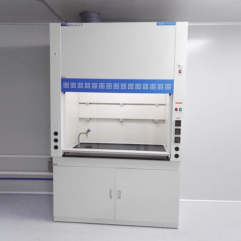 Customized Factory Selling Biological Safety Cabinet Ductless Hospital Laboratory Equipment/
