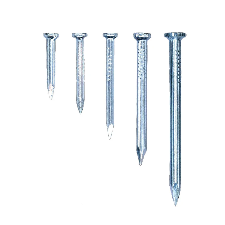 Hardened Steel Nails Competitive Price Steel Galvanized Concrete Nail for Construction