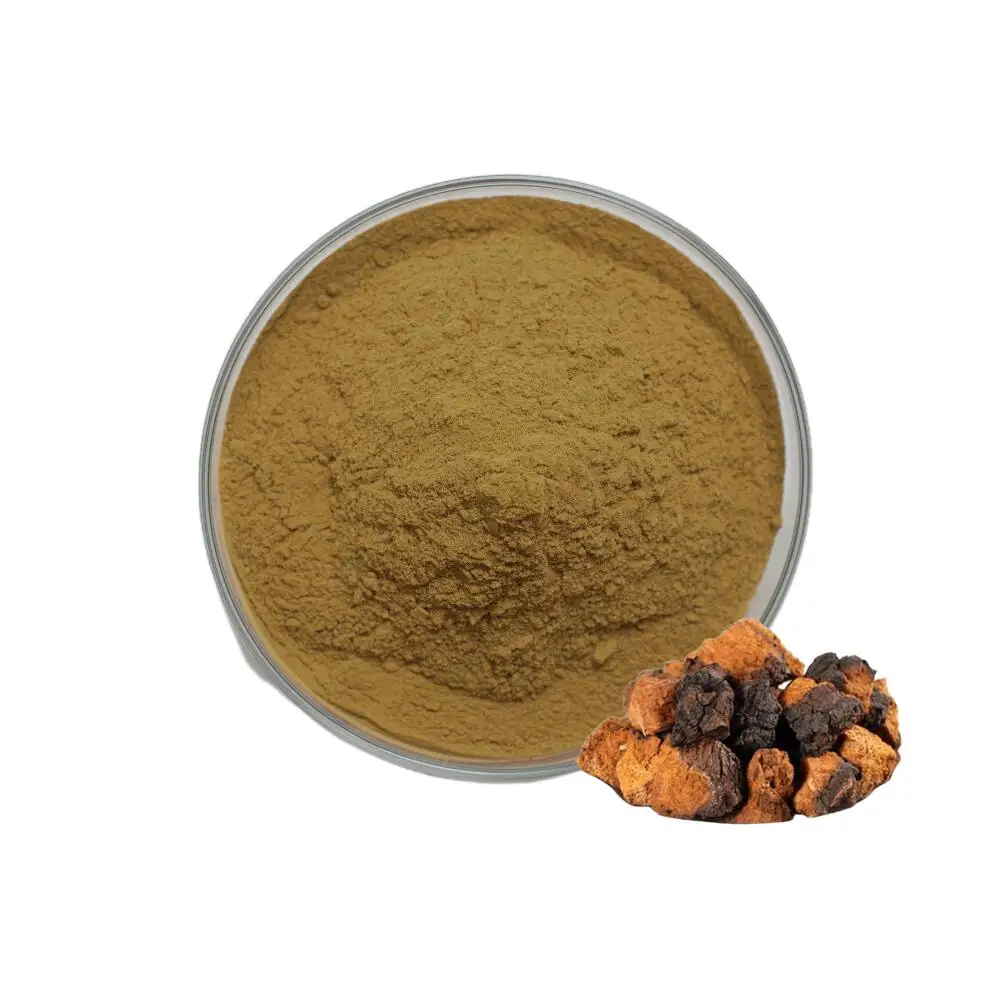 Wholesale Chaga Mushroom Powder Chaga Mushroom Extract Chaga Extract Powder