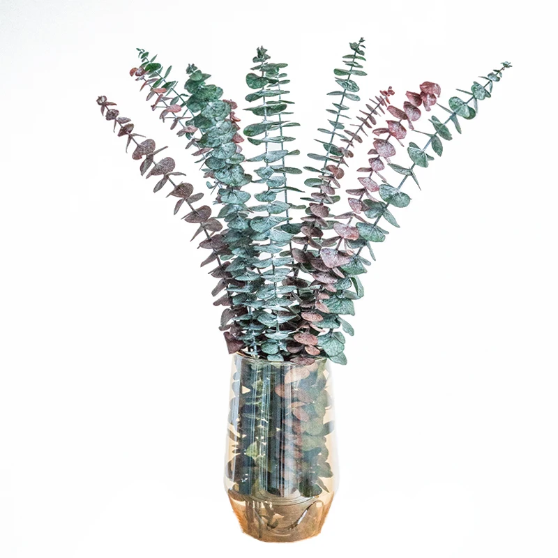 Yunnan hot selling preserved eucalyptus leaves for wedding decoration