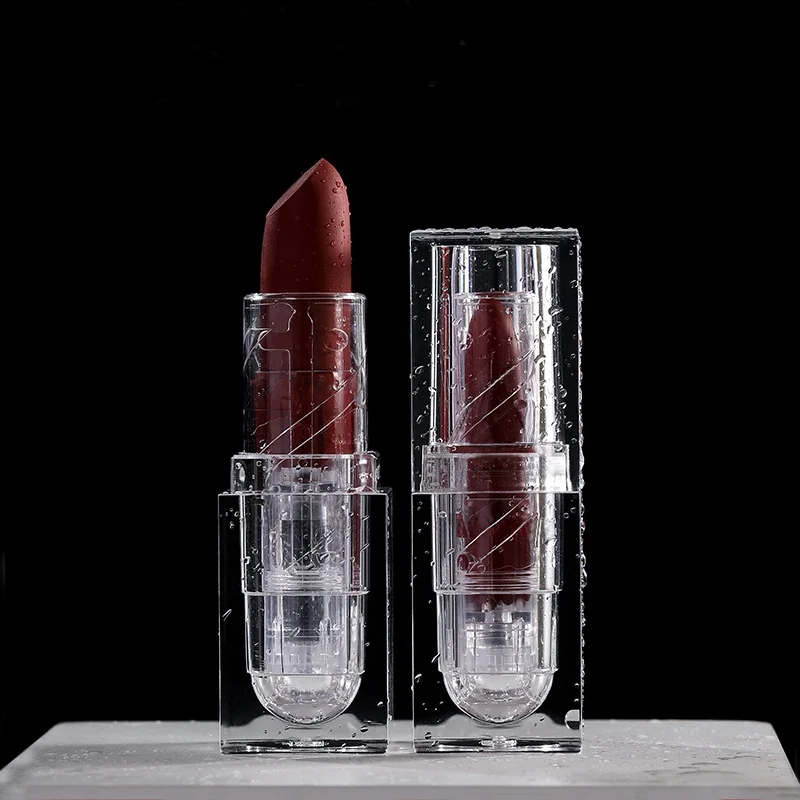 Matte Lipstick Private Label Acrylic Transparent Lipstick Makeup Long Lasting Lipstick