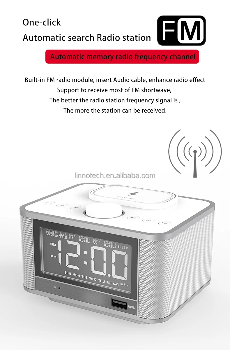alarm speaker  (9)