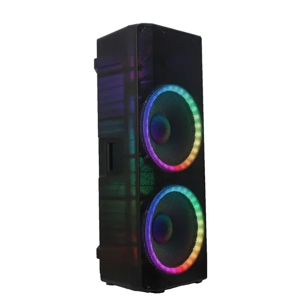 Двойной 15-дюймовый Аккумуляторный динамик RGB освещение пластиковые активные беспроводные микрофоны