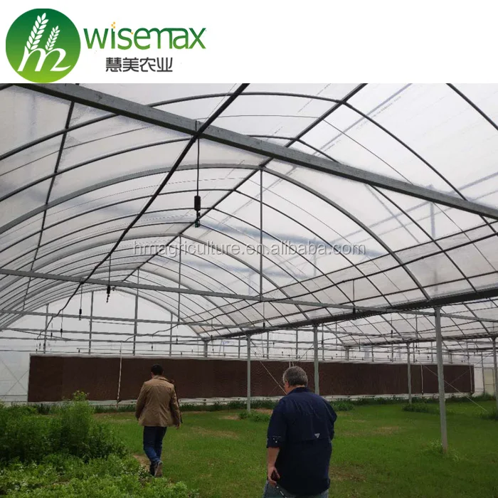 Excellent strength high tunnel multi span plastic greenhouse strawberry cultivation tray