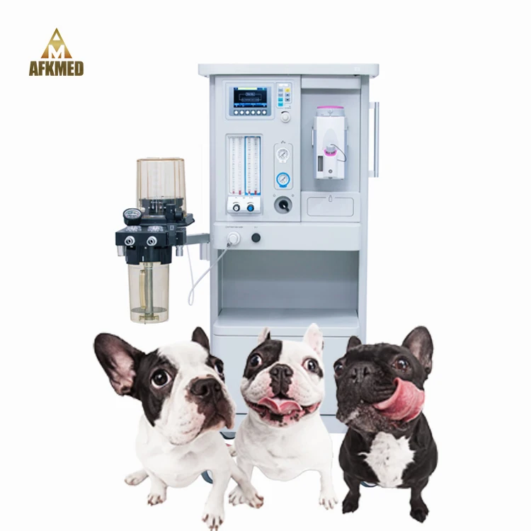 Portable Pet clinic medical veterinary  Inhalation  anaesthesia machine device price