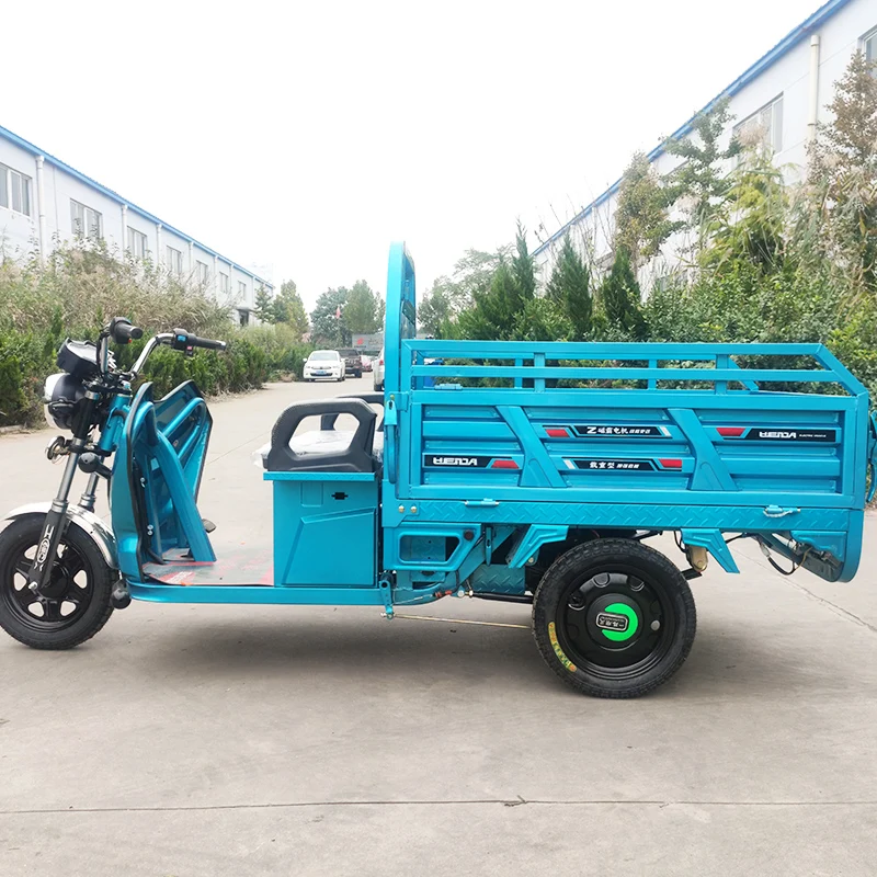 teens tricycle double bike diffential for adult. adults trailer motorcycle three wheels electric Tricycle