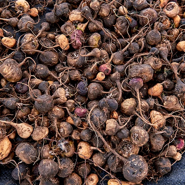 Здоровые, энергетические и питательные закуски Simi Maca 75 г, оптовый поставщик