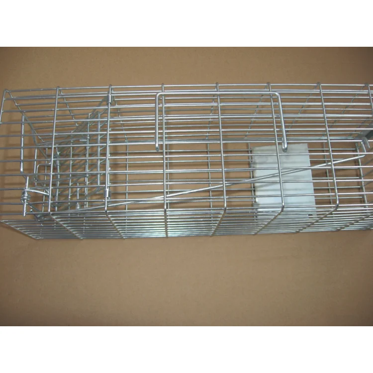 Factory Wholesale Double Door Animal Trap Weasel Cage Trap